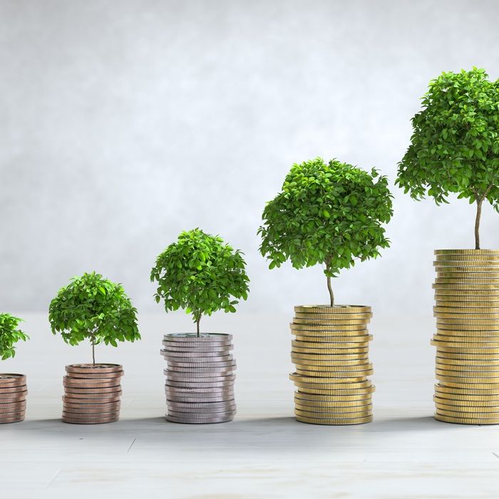 Estimating investments with a calculator